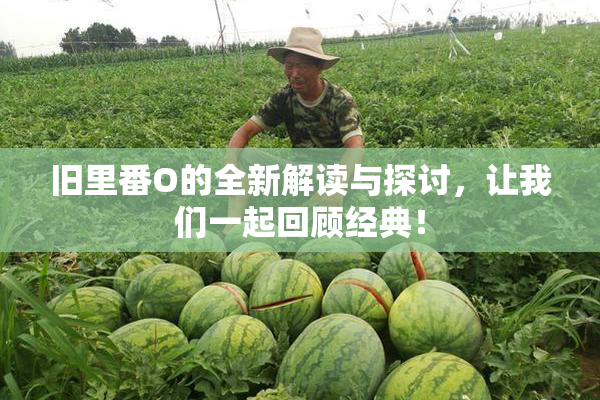 旧里番O的全新解读与探讨，让我们一起回顾经典！