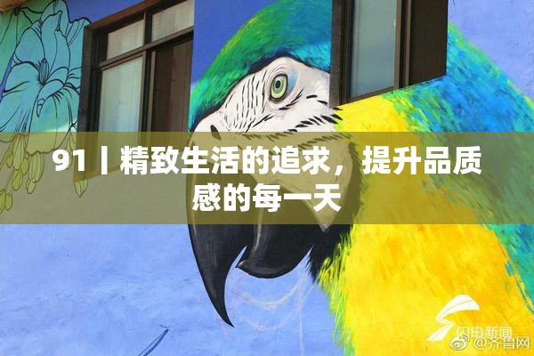 91丨精致生活的追求，提升品质感的每一天