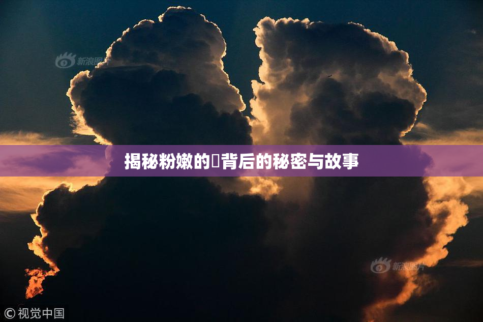 揭秘粉嫩的泬背后的秘密与故事