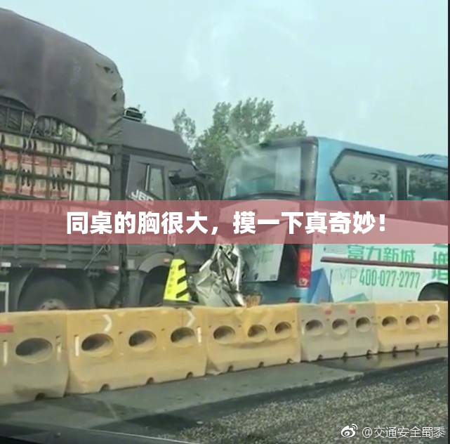 同桌的胸很大，摸一下真奇妙！