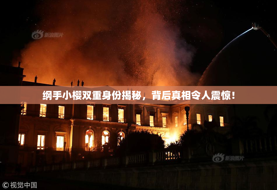 纲手小樱双重身份揭秘，背后真相令人震惊！