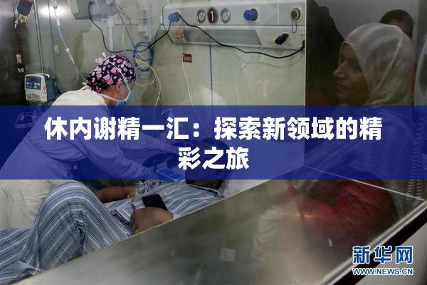 休内谢精一汇：探索新领域的精彩之旅