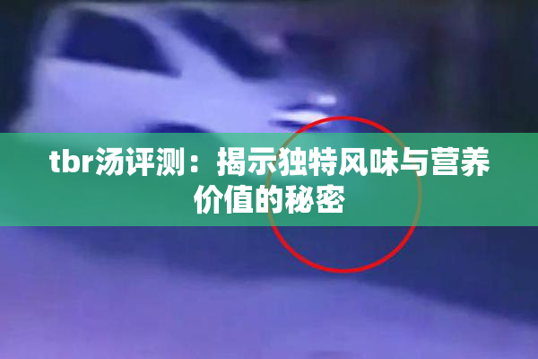 tbr汤评测：揭示独特风味与营养价值的秘密