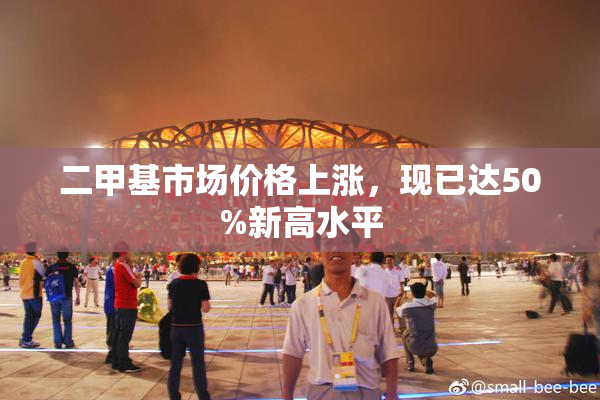 二甲基市场价格上涨，现已达50%新高水平