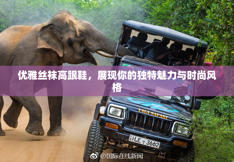 优雅丝袜高跟鞋，展现你的独特魅力与时尚风格