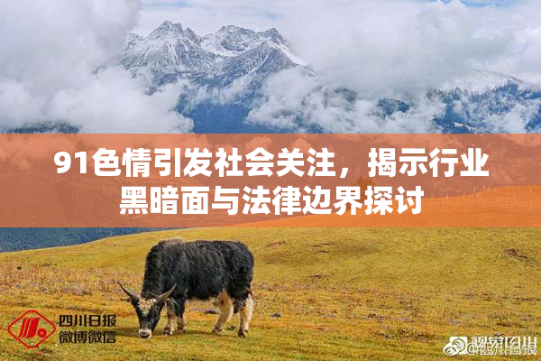 91色情引发社会关注，揭示行业黑暗面与法律边界探讨