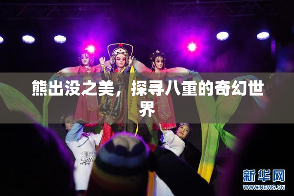 熊出没之美，探寻八重的奇幻世界