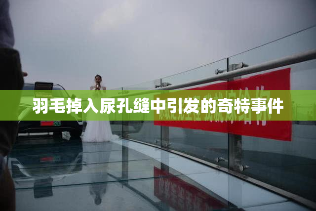 羽毛掉入尿孔缝中引发的奇特事件