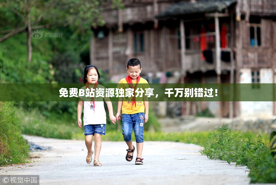 免费B站资源独家分享，千万别错过！