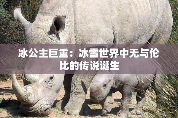 冰公主巨重：冰雪世界中无与伦比的传说诞生