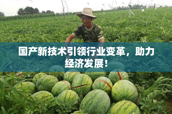 国产新技术引领行业变革，助力经济发展！