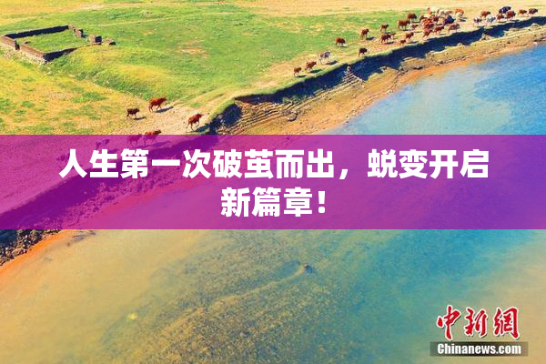 人生第一次破茧而出，蜕变开启新篇章！