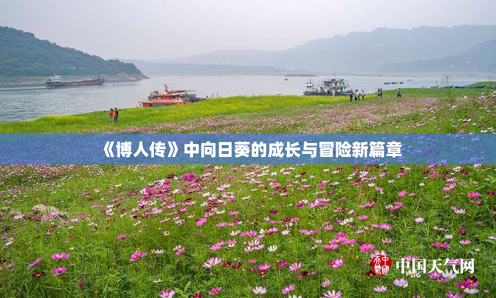 《博人传》中向日葵的成长与冒险新篇章