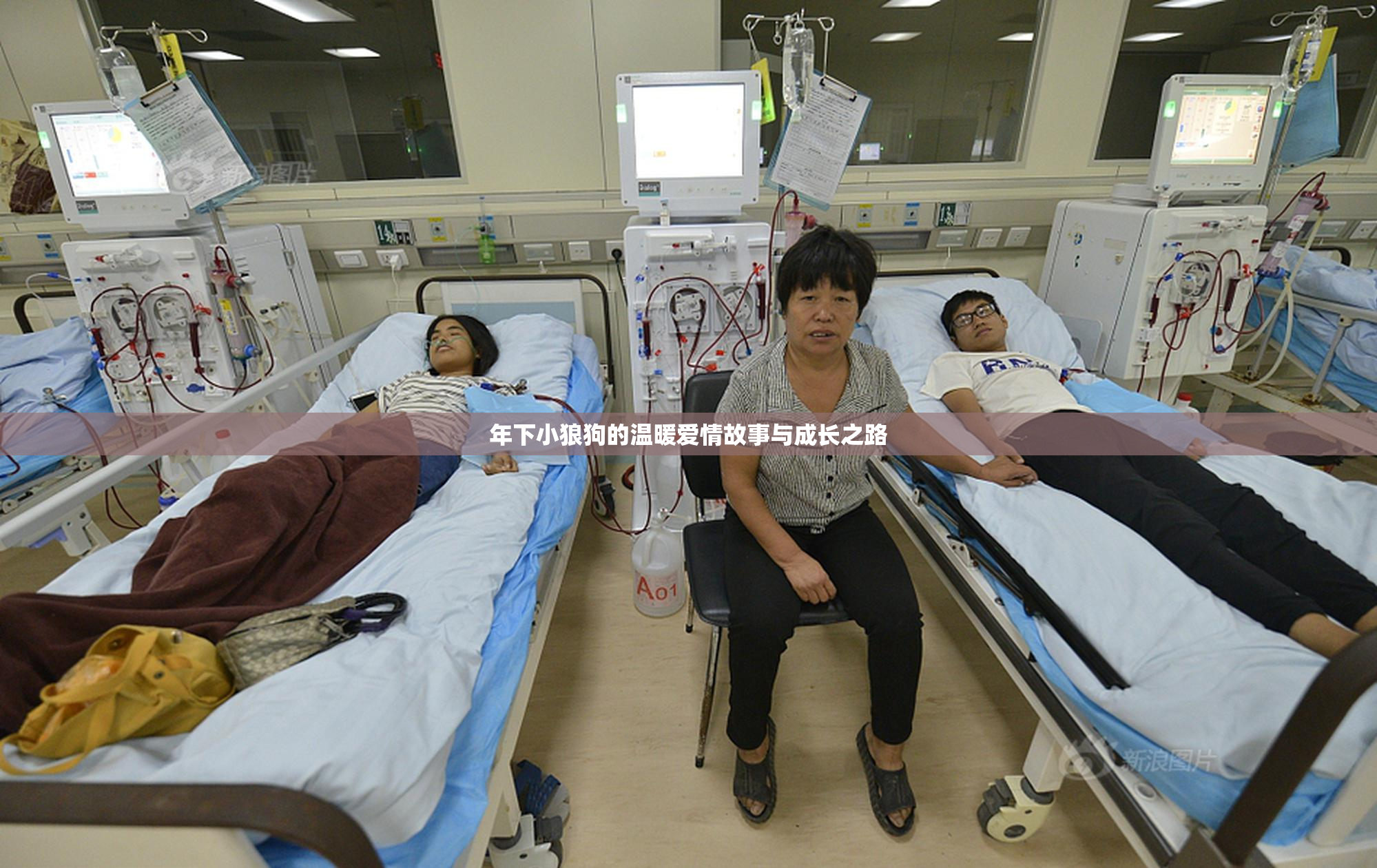 年下小狼狗的温暖爱情故事与成长之路