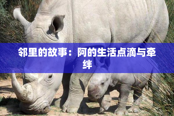邻里的故事：阿的生活点滴与牵绊