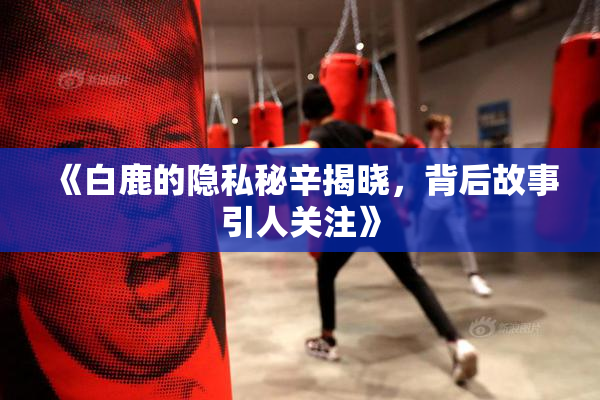 《白鹿的隐私秘辛揭晓，背后故事引人关注》
