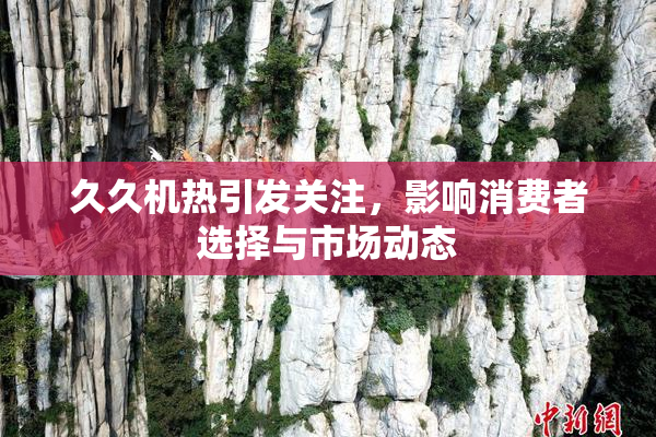 久久机热引发关注，影响消费者选择与市场动态
