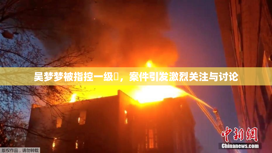吴梦梦被指控一级婬，案件引发激烈关注与讨论