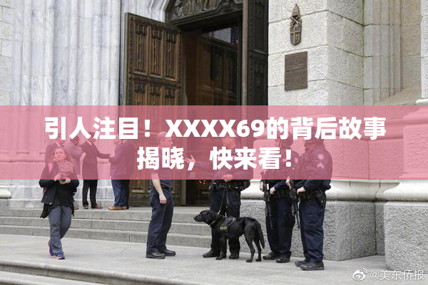 引人注目！XXXX69的背后故事揭晓，快来看！