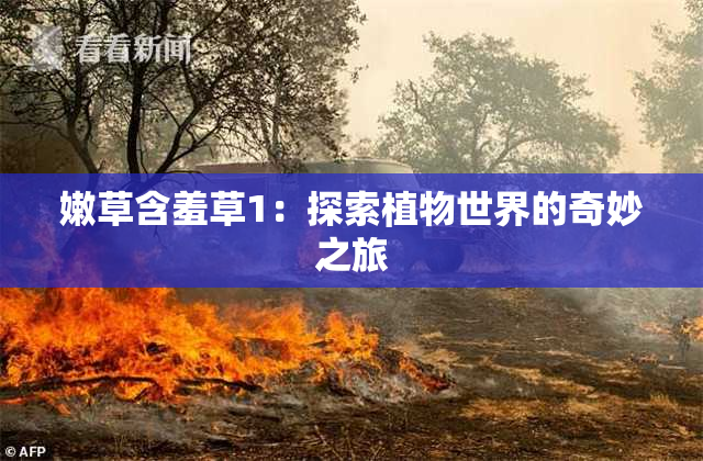 嫩草含羞草1：探索植物世界的奇妙之旅