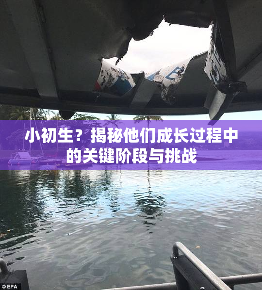 小初生？揭秘他们成长过程中的关键阶段与挑战