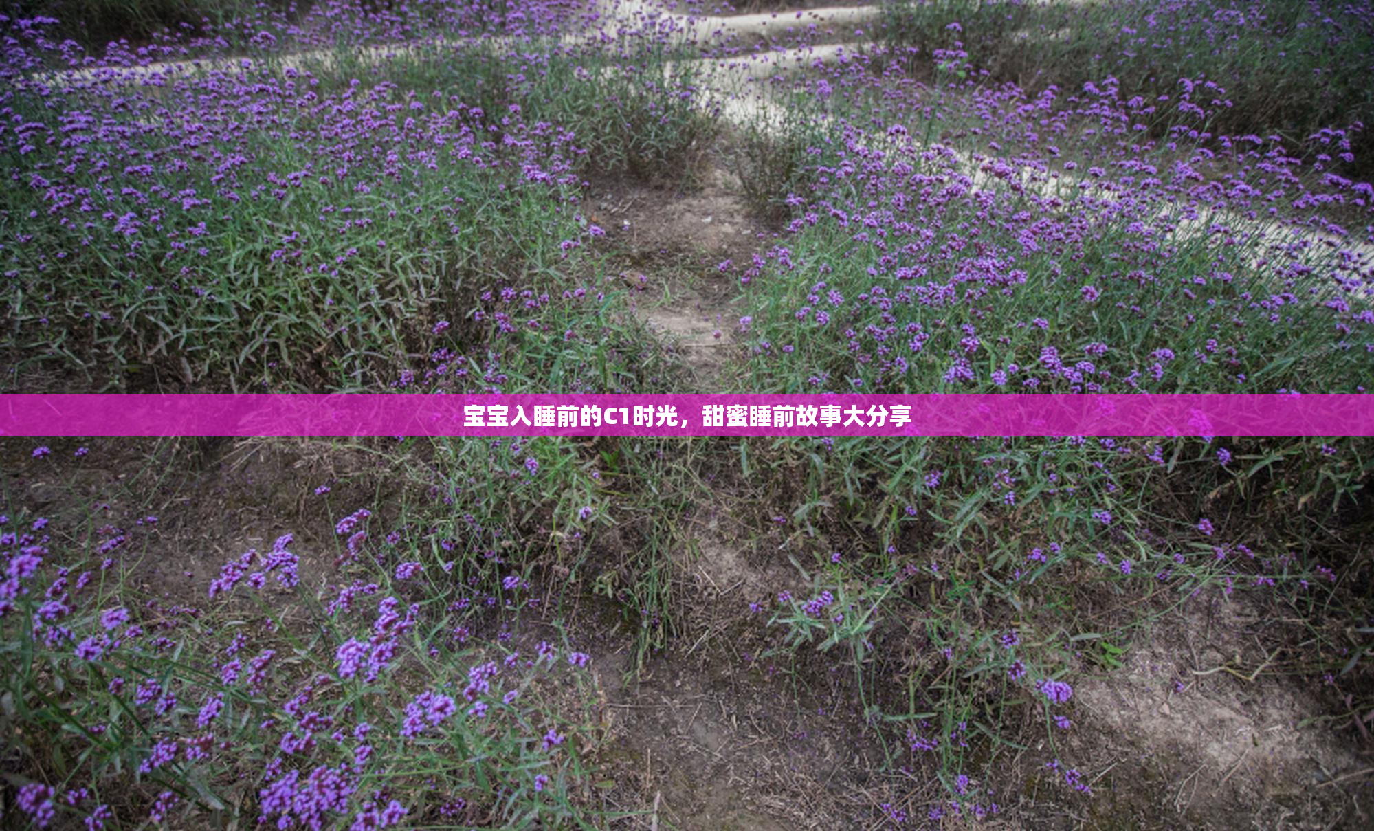 宝宝入睡前的C1时光，甜蜜睡前故事大分享