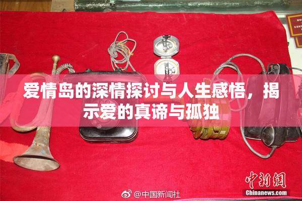 爱情岛的深情探讨与人生感悟，揭示爱的真谛与孤独