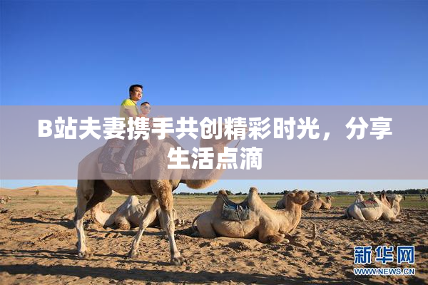 B站夫妻携手共创精彩时光，分享生活点滴