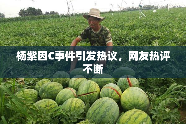 杨紫因C事件引发热议，网友热评不断