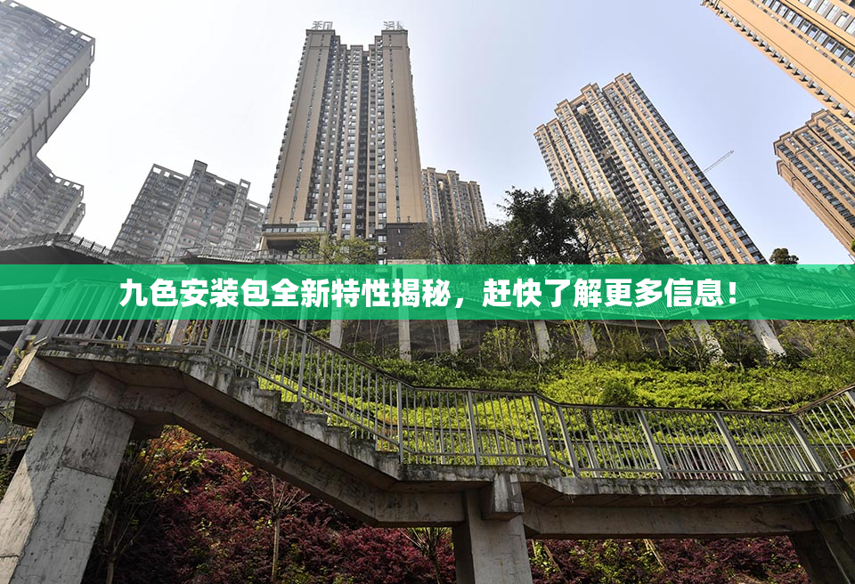 九色安装包全新特性揭秘，赶快了解更多信息！