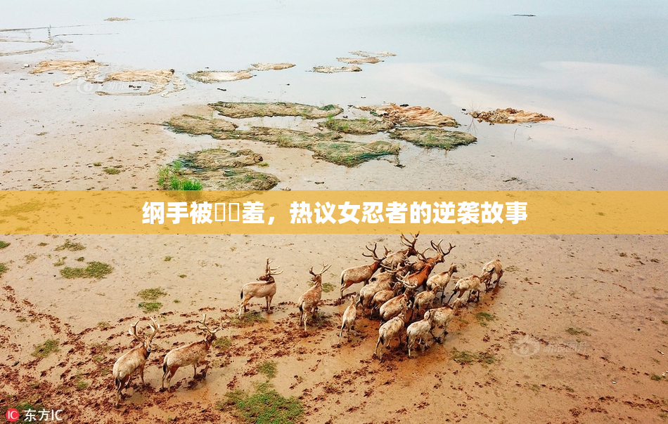 纲手被❌‌羞，热议女忍者的逆袭故事