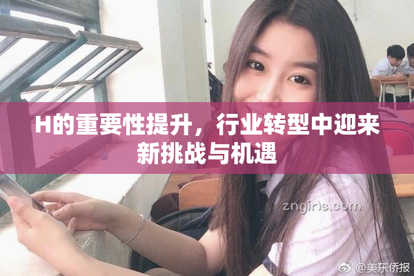 H的重要性提升，行业转型中迎来新挑战与机遇
