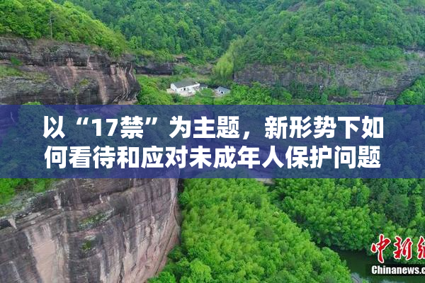 以“17禁”为主题，新形势下如何看待和应对未成年人保护问题？