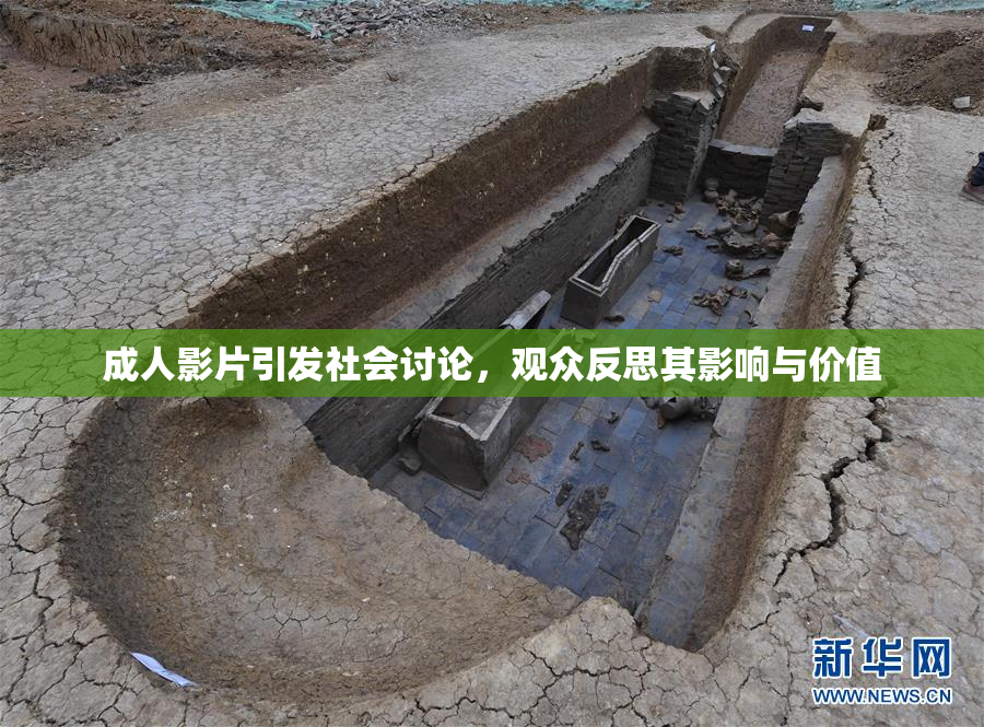 成人影片引发社会讨论，观众反思其影响与价值