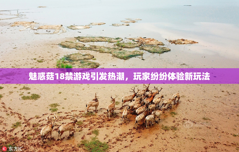 魅惑菇18禁游戏引发热潮，玩家纷纷体验新玩法
