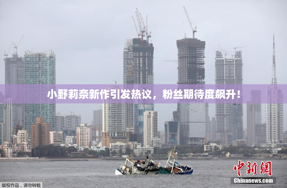 小野莉奈新作引发热议，粉丝期待度飙升！