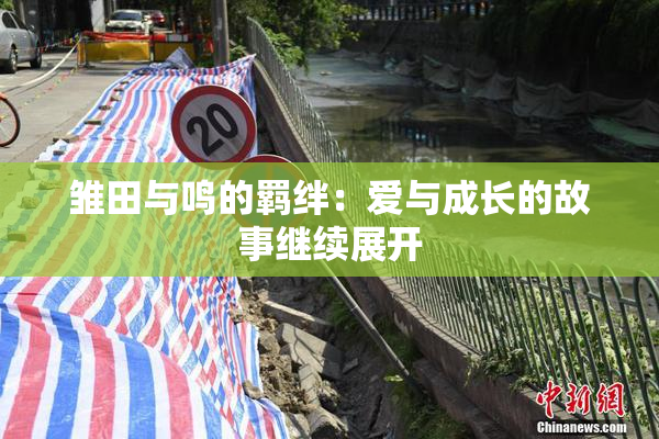 雏田与鸣的羁绊：爱与成长的故事继续展开