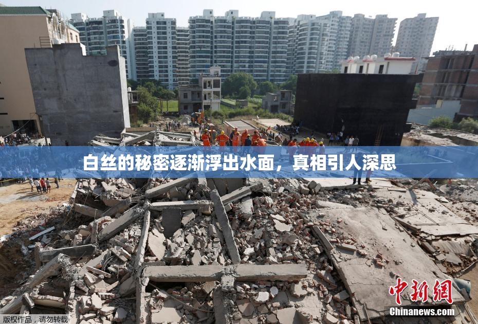 白丝的秘密逐渐浮出水面，真相引人深思