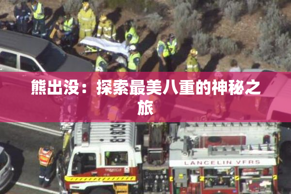 熊出没：探索最美八重的神秘之旅