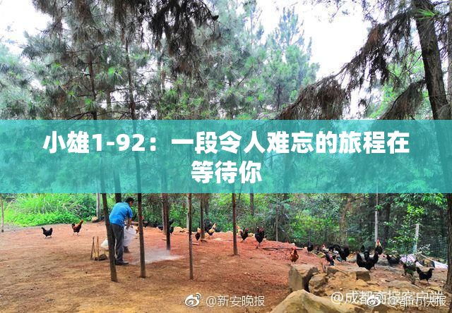 小雄1-92：一段令人难忘的旅程在等待你