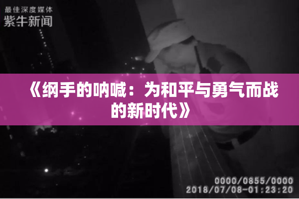 《纲手的呐喊：为和平与勇气而战的新时代》