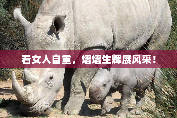 看女人自重，熠熠生辉展风采！