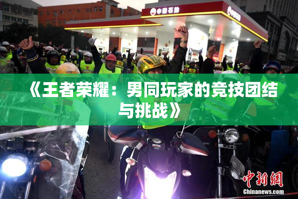 《王者荣耀：男同玩家的竞技团结与挑战》