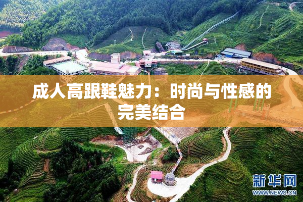 成人高跟鞋魅力：时尚与性感的完美结合