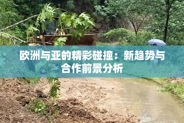 欧洲与亚的精彩碰撞：新趋势与合作前景分析