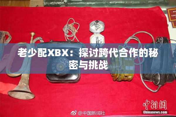 老少配XBX：探讨跨代合作的秘密与挑战