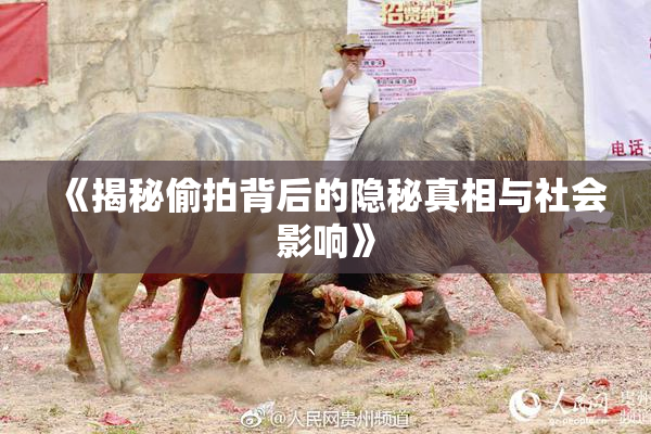 《揭秘偷拍背后的隐秘真相与社会影响》