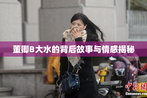 董卿B大水的背后故事与情感揭秘