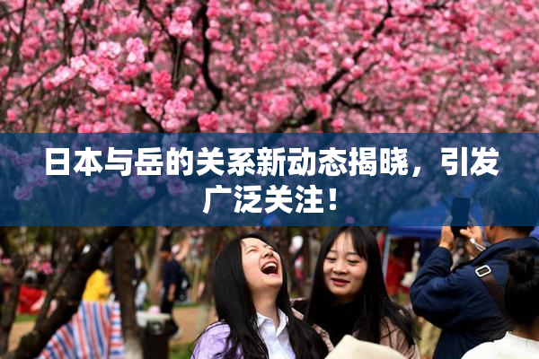 日本与岳的关系新动态揭晓，引发广泛关注！