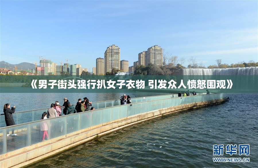 《男子街头强行扒女子衣物 引发众人愤怒围观》